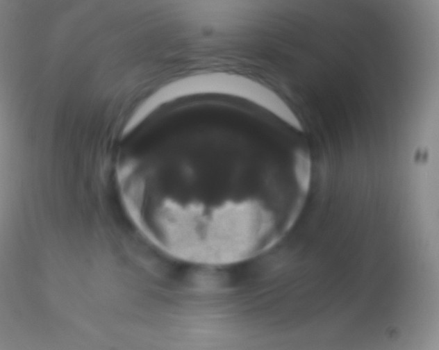 X0000113950331200910161945