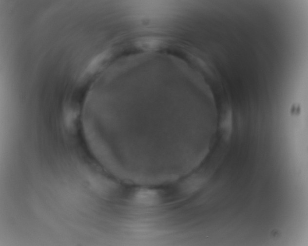 X0000113950332200910161945