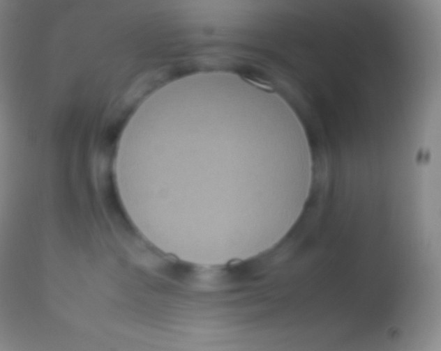 X0000113950333200910161945