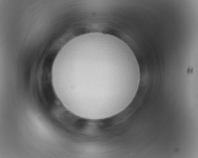 X0000113950334200910161945