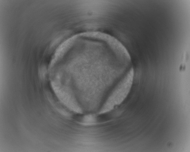 X0000113950335200910161945