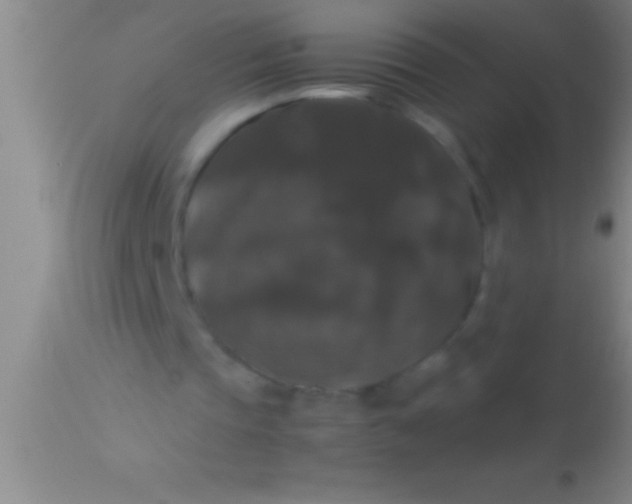 X0000113950337200910161944