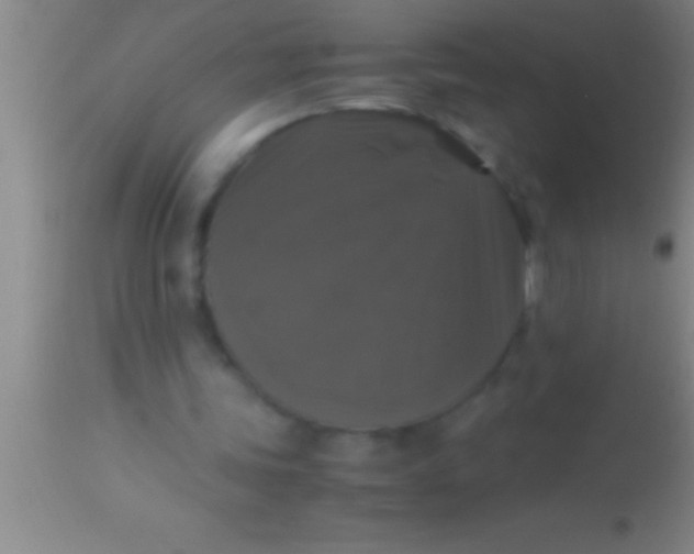 X0000113950339200910161944