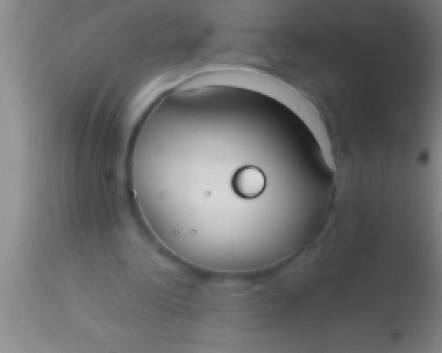 X0000113950340200910161944