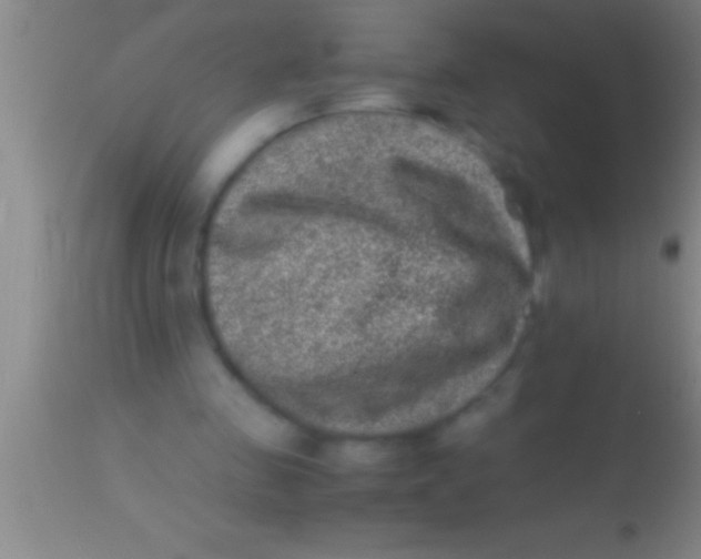 X0000113950341200910161944