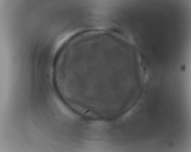 X0000113950342200910161944