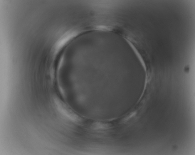 X0000113950343200910161944