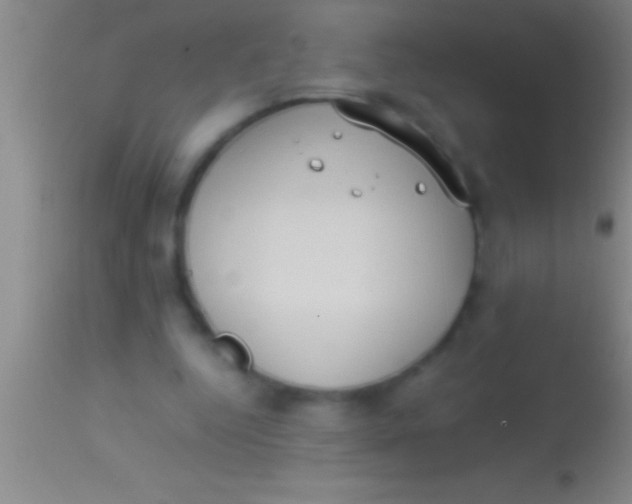 X0000113950344200910161944