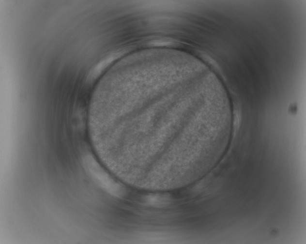 X0000113950345200910161944