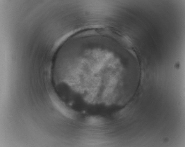 X0000113950346200910161944