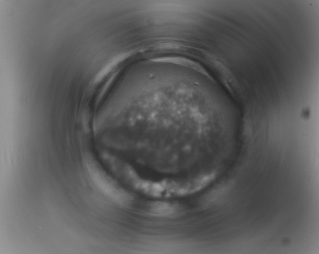 X0000113950347200910161944