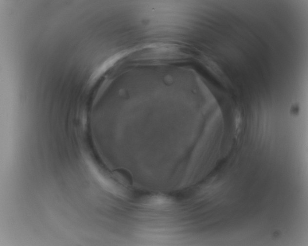 X0000113950348200910161944
