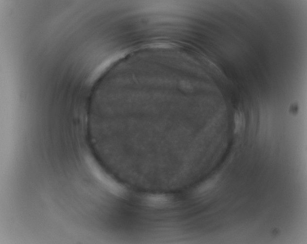 X0000113950349200910161945