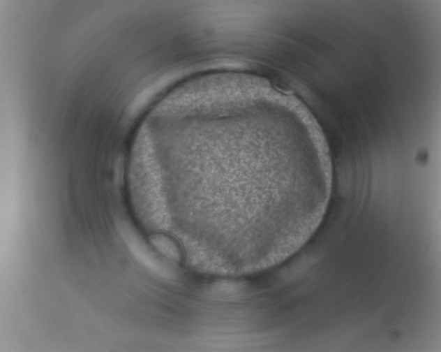 X0000113950350200910161945