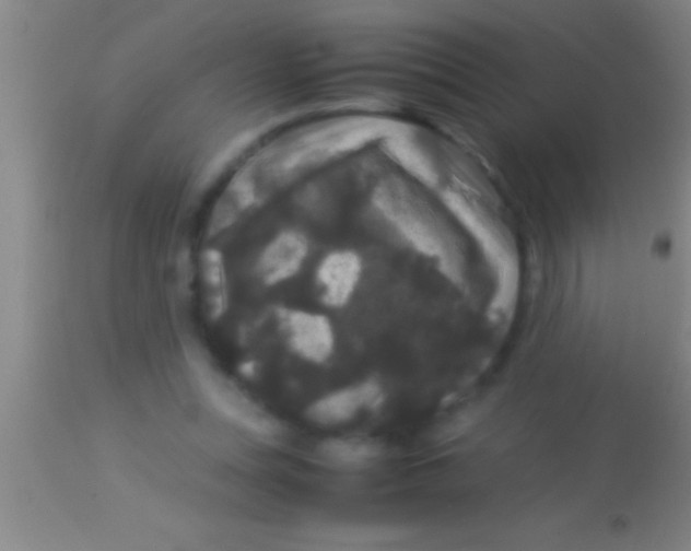 X0000113950351200910161945