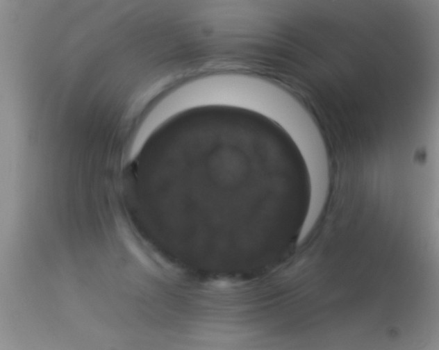 X0000113950352200910161945