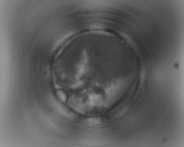 X0000113950353200910161945