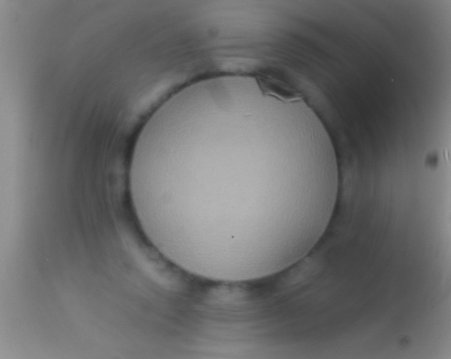 X0000113950354200910161945