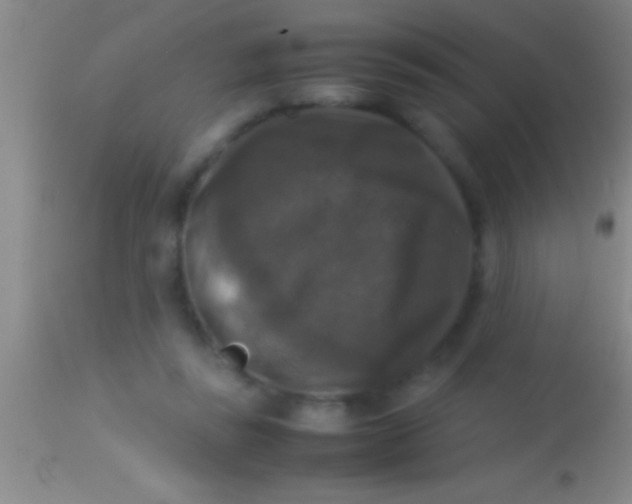 X0000113950355200910161945