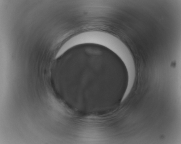 X0000113950356200910161945
