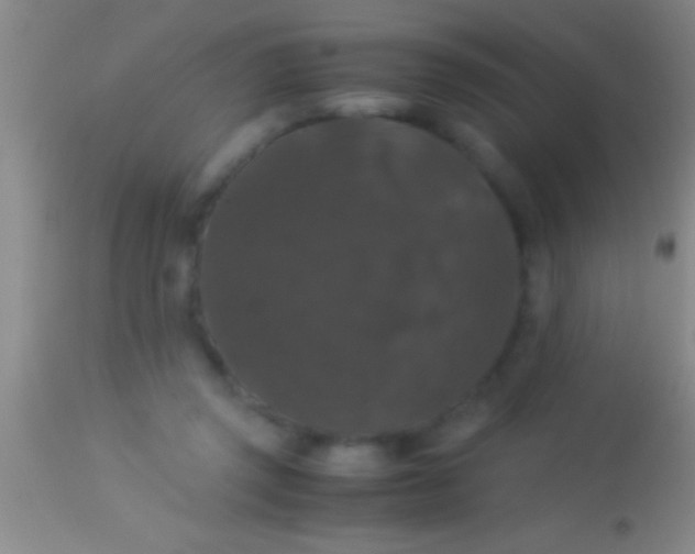 X0000113950357200910161945
