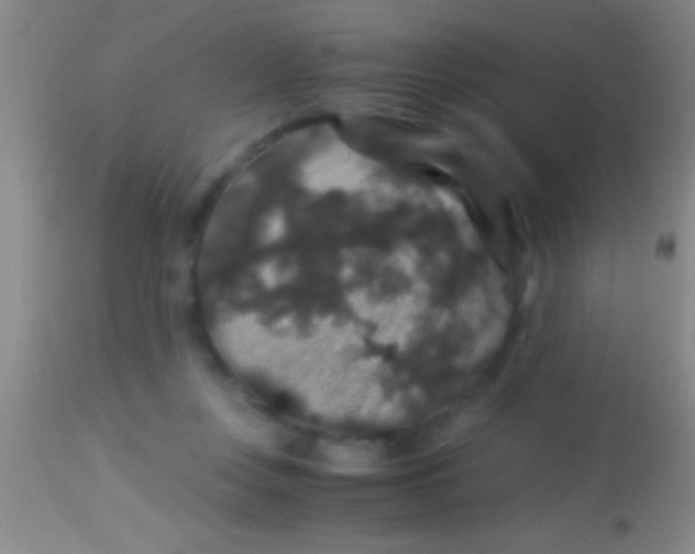 X0000113950359200910161945