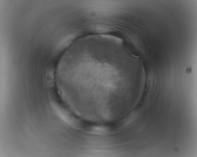 X0000113950360200910161945