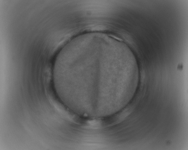 X0000113950362200910161945