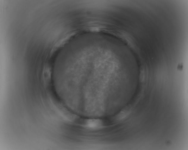 X0000113950363200910161945