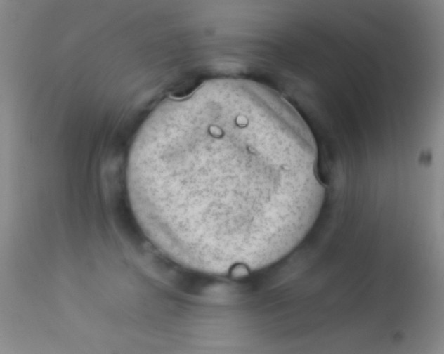 X0000113950364200910161945