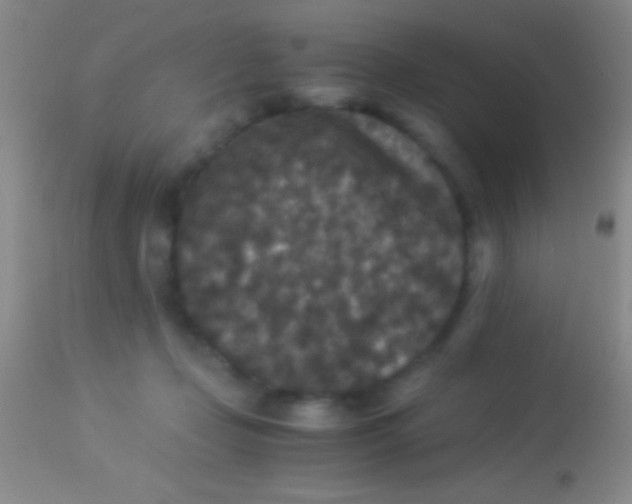 X0000113950365200910161945