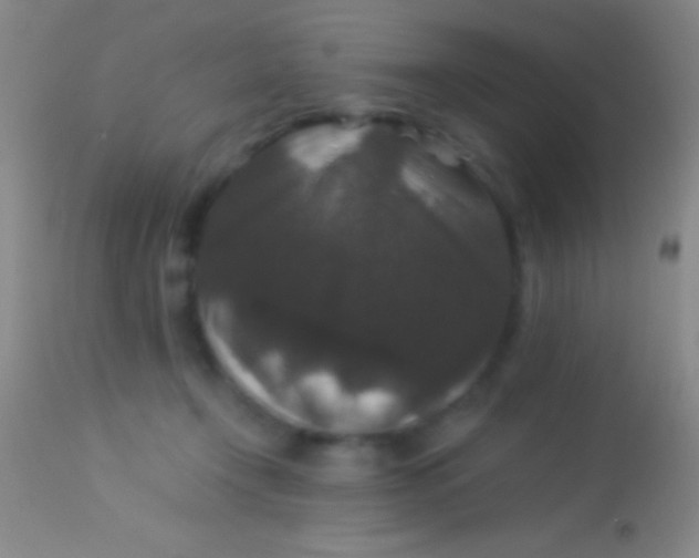 X0000113950366200910161945