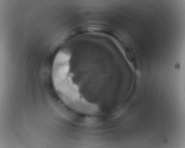 X0000113950367200910161945
