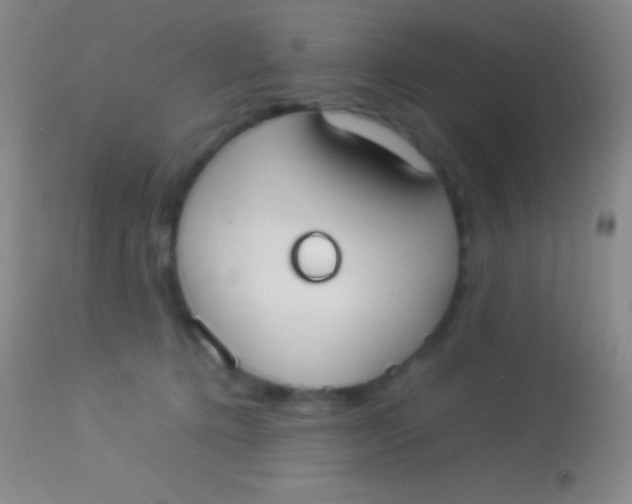 X0000113950368200910161945