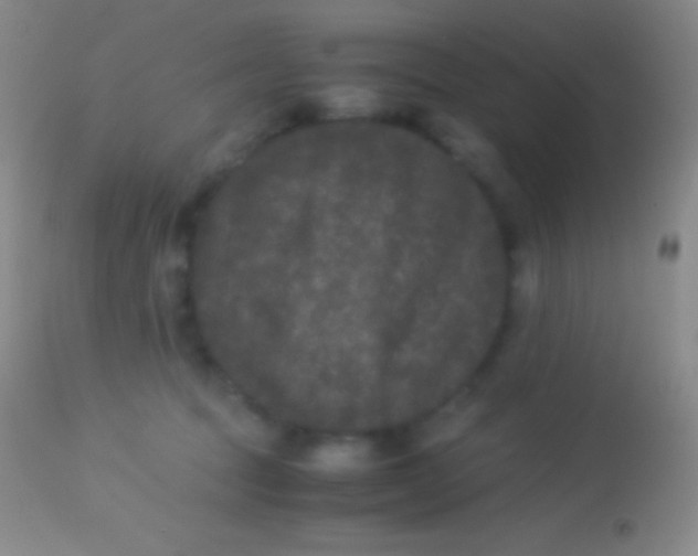 X0000113950369200910161945