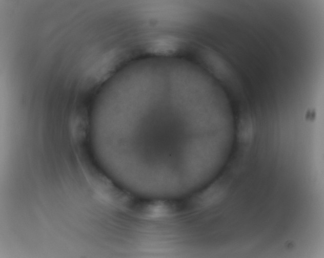 X0000113950370200910161945