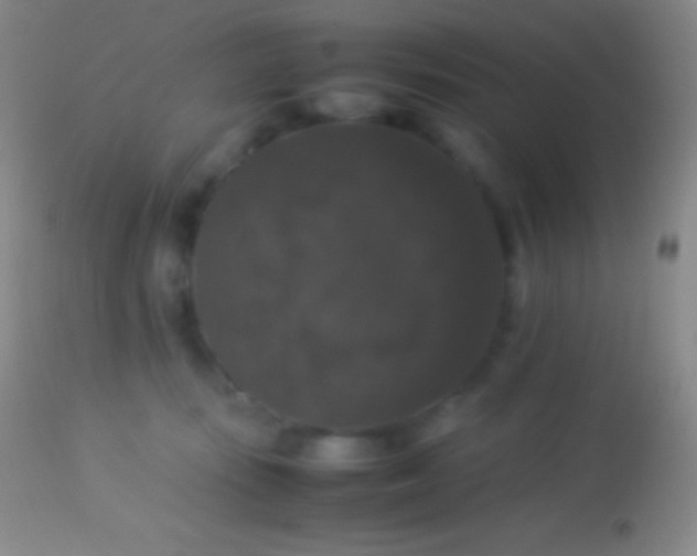 X0000113950371200910161945