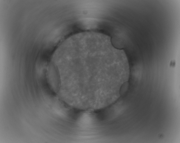 X0000113950372200910161945