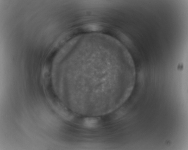 X0000113950373200910161945