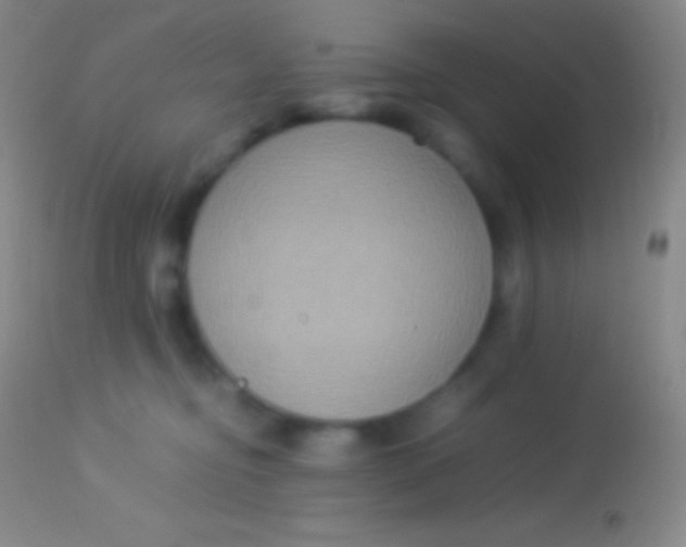 X0000113950374200910161945