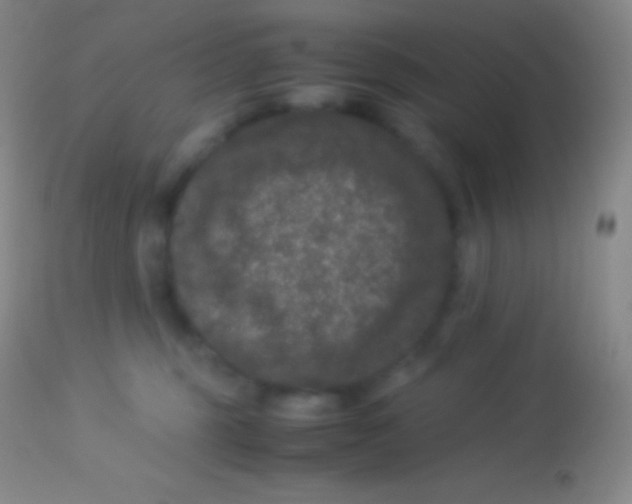 X0000113950375200910161945
