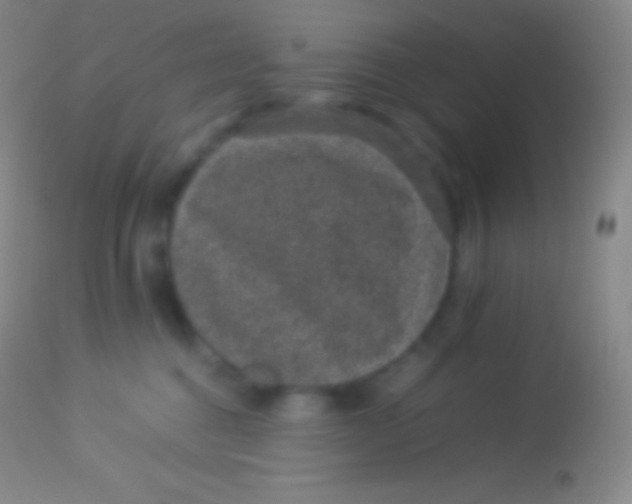 X0000113950376200910161945