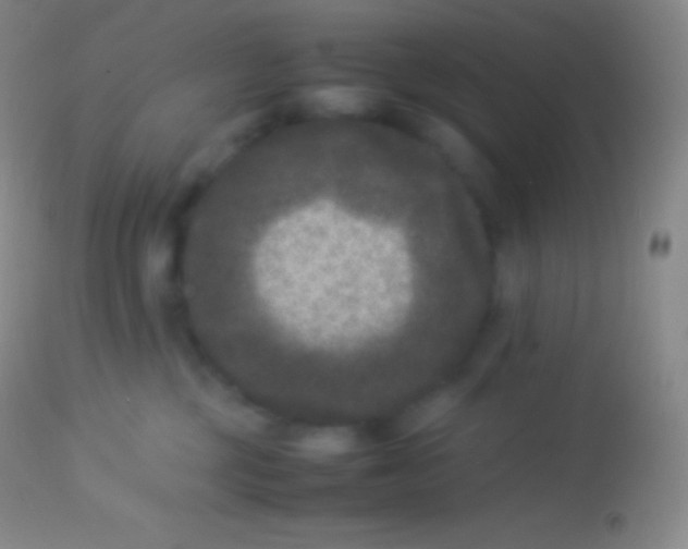 X0000113950377200910161945