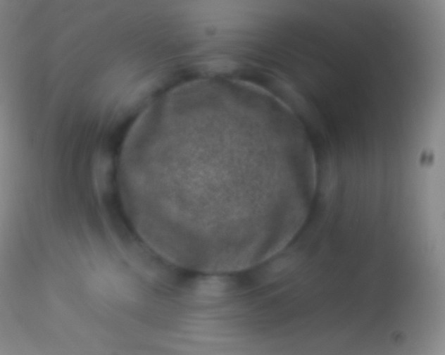 X0000113950378200910161945