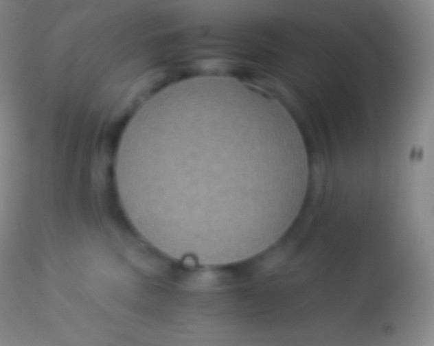 X0000113950379200910161945
