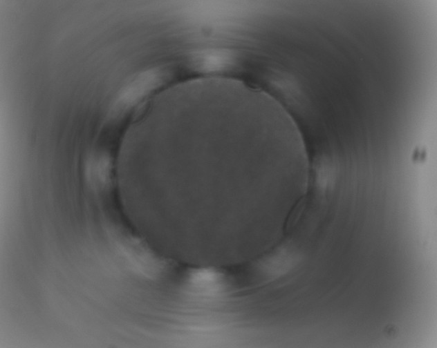 X0000113950380200910161945
