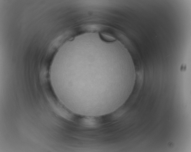 X0000113950381200910161945
