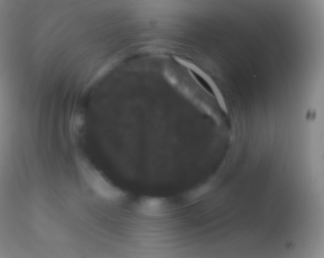 X0000113950382200910161945