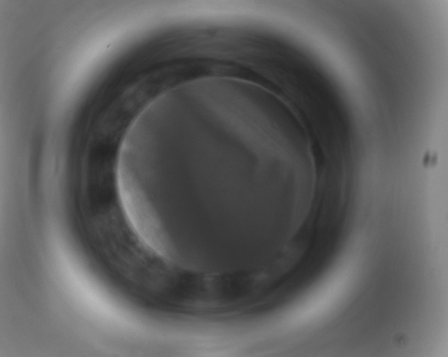 X0000113950383200910161945