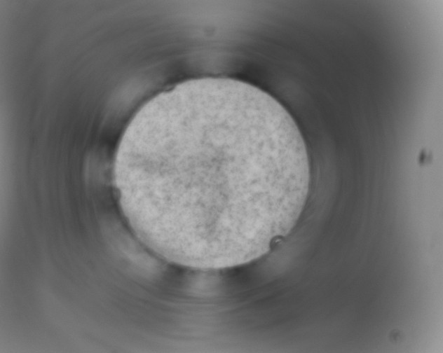 X0000113950384200910161945